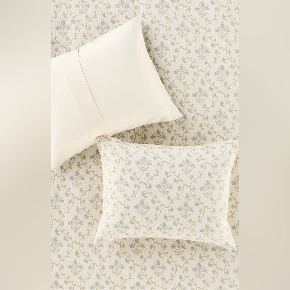 ▪️NWT Anthropologie Ellie Cotton Shams, Set of 2 Shams
